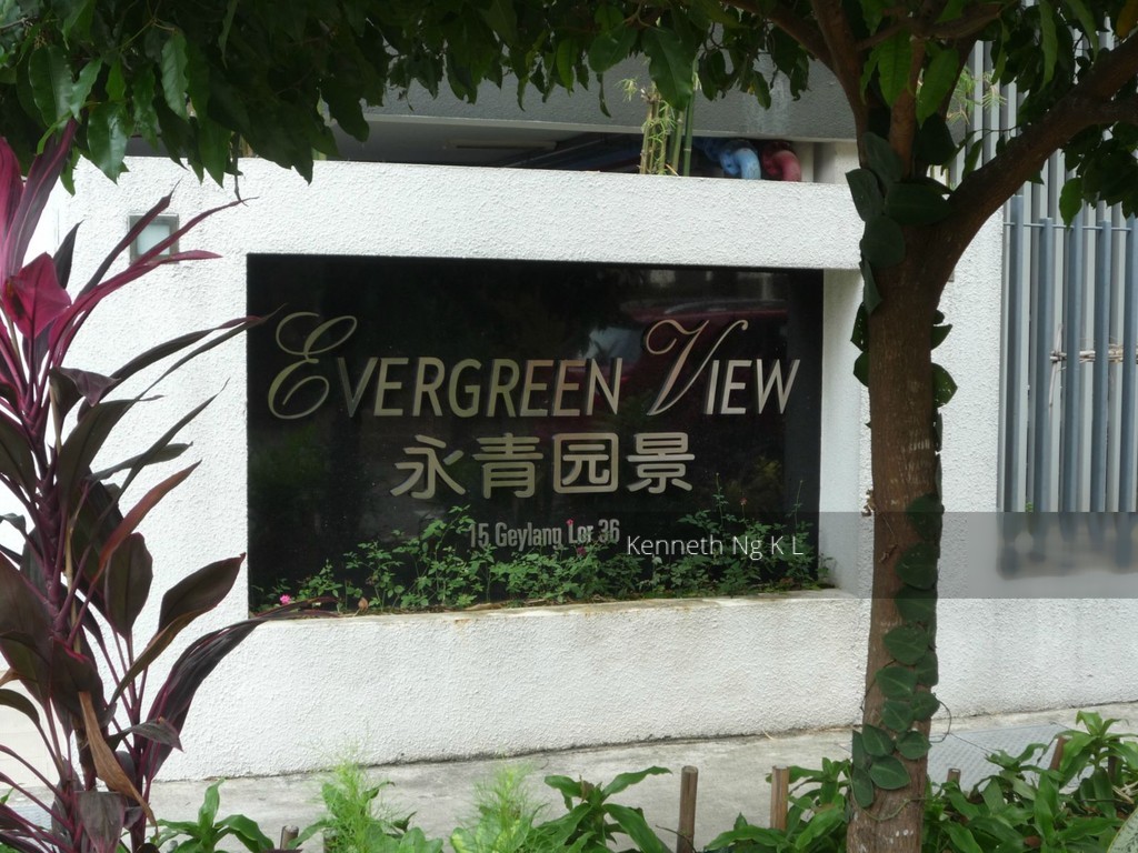Evergreen View (D14), Apartment #128116912